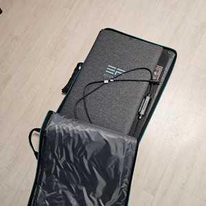 에코플로우 태양광 패널 솔라 패널 160 W 팝니다.