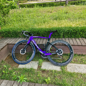 피나렐로 도그마 F12
