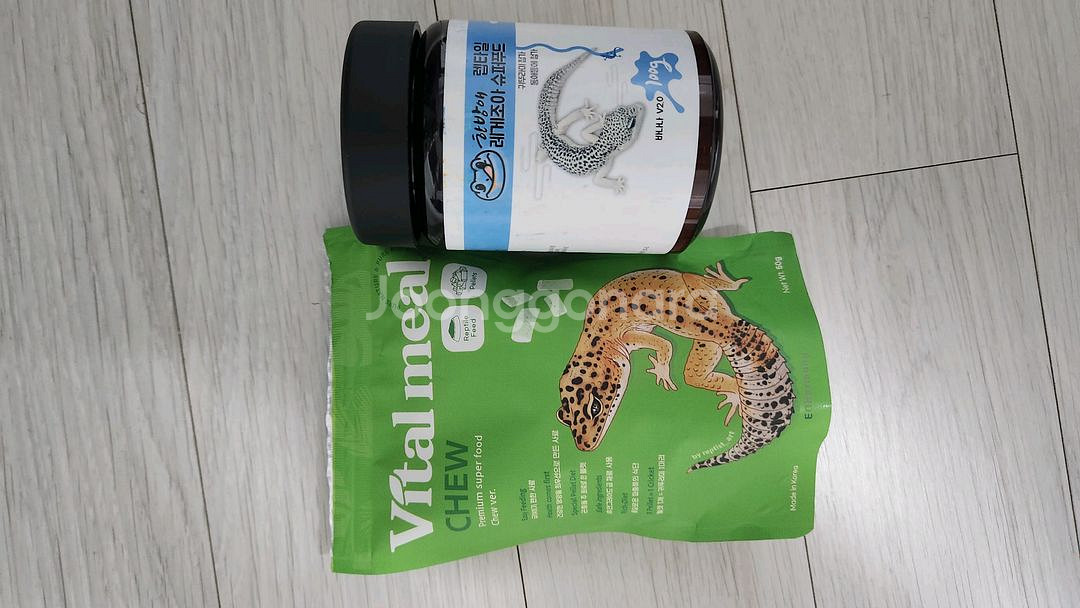 레오파드 게코 텐저린 분양 보내요--2