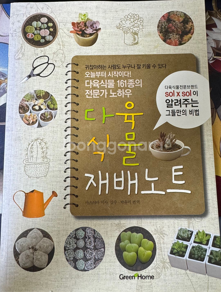 다육식물 재배노--0