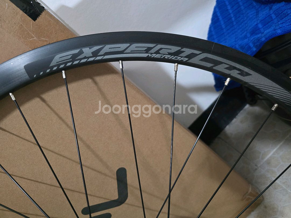 메리다 엑스퍼트 CW 휠셋--6