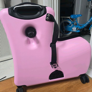 지아지조 케리어 라지