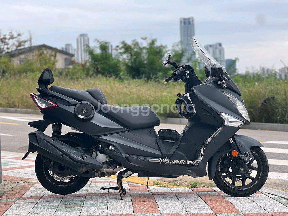 SYM 조이맥스300--5