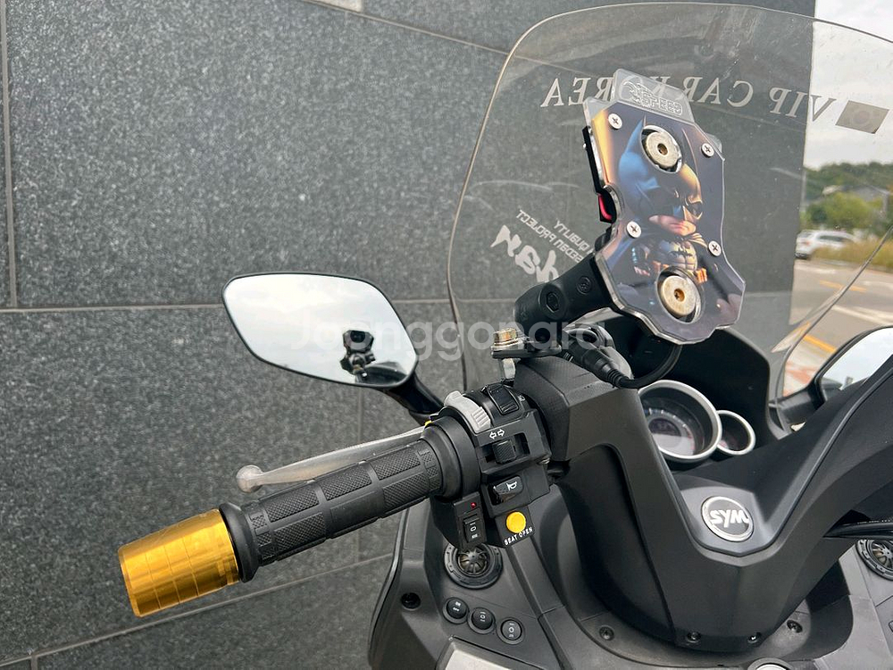 SYM 조이맥스300--8