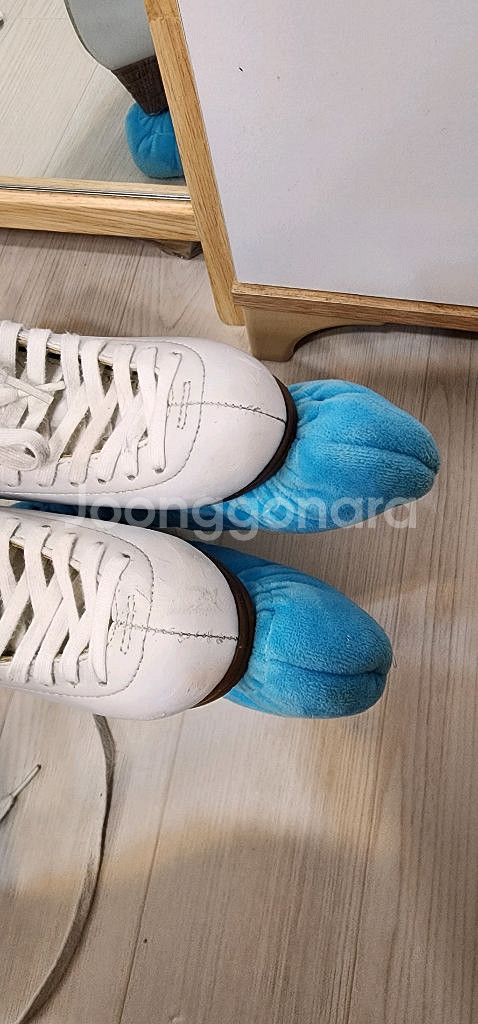 잭슨 아티스트 피겨 스케이트 1791 1.5C--6
