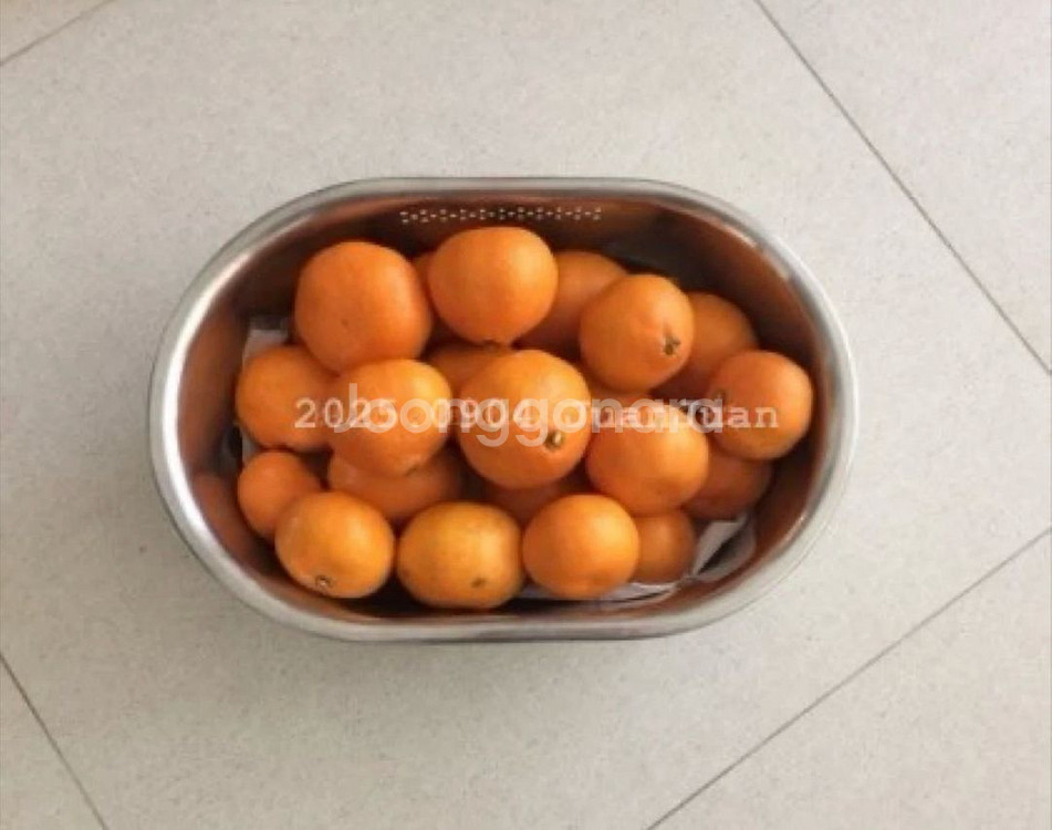 일제 스텐 바스켓 / 일본 투명 집게--4