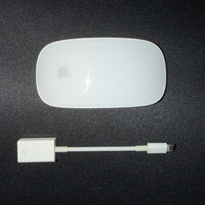 애플 정품 매직마우스 2 + USB to C