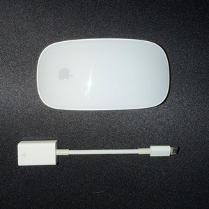 애플 정품 매직마우스 2 + USB to C