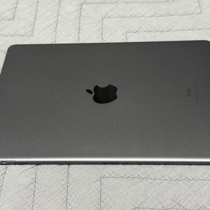 애플 아이패드 에어3 10.5 스그 256GB 흰멍