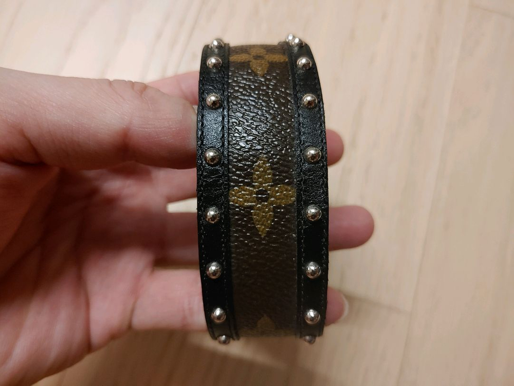 루이비통 강아지 목줄?--1