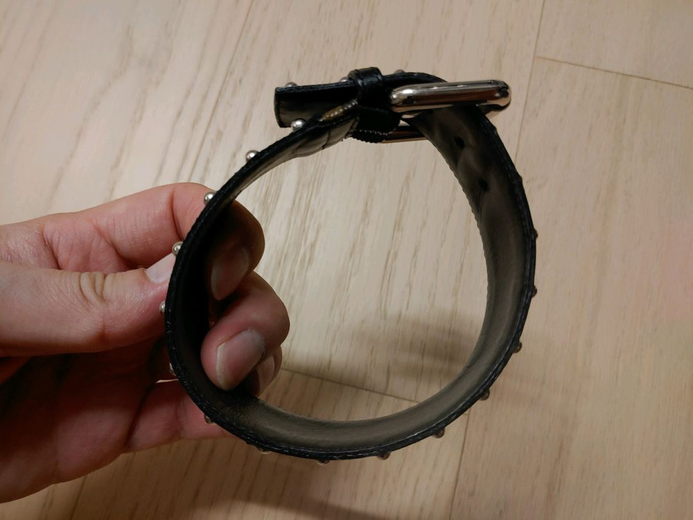 루이비통 강아지 목줄?--2