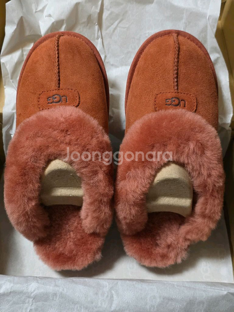 정품 미국 어그 코케트 테라코타 us7 새제품--0