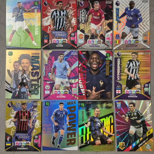 파니니 축구 스포츠카드 25종 일괄판매