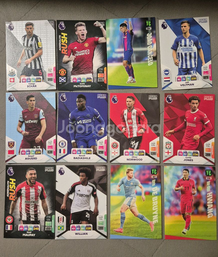 파니니 축구 스포츠카드 25종 일괄판매--1