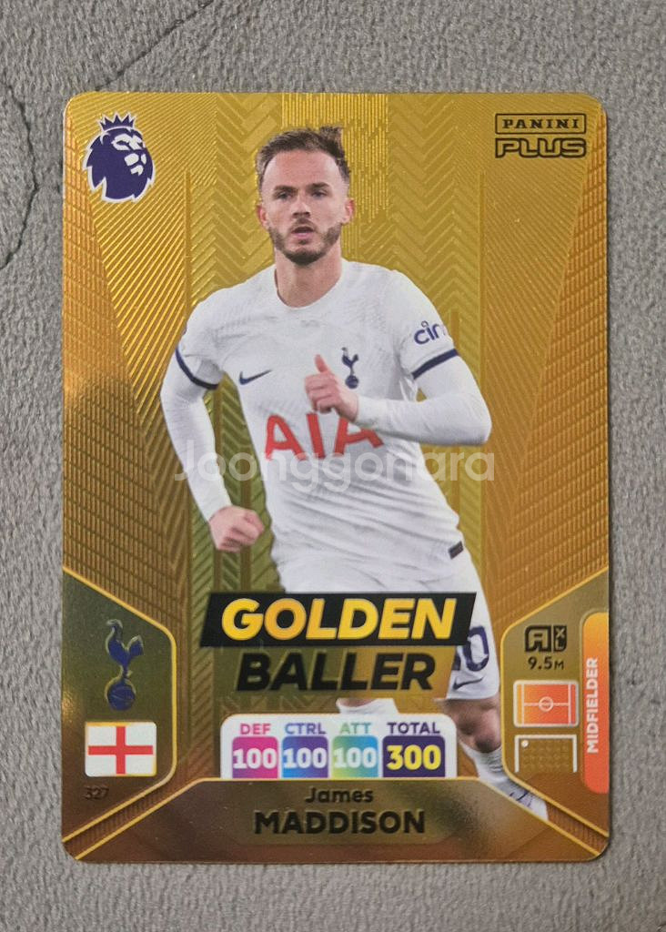 파니니 축구 스포츠카드 25종 일괄판매--2