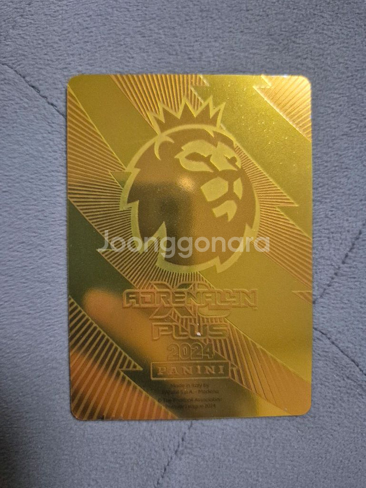 파니니 축구 스포츠카드 25종 일괄판매--3