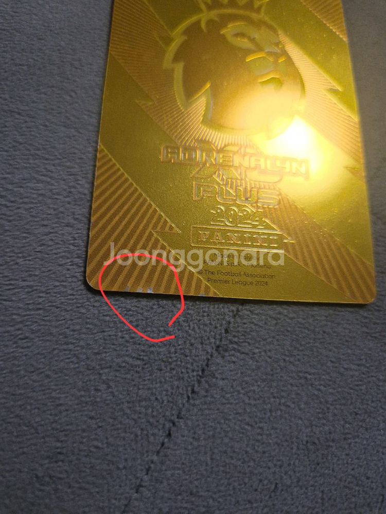 파니니 축구 스포츠카드 25종 일괄판매--4