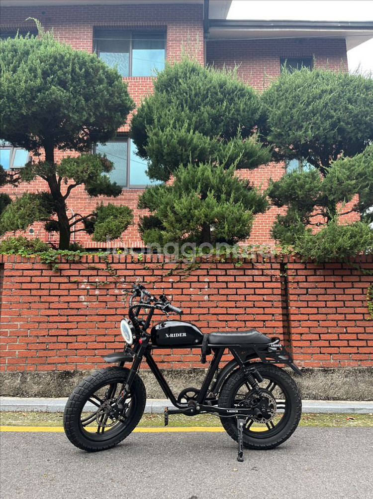 엑스라이더 터보 프로 전기자전거--0