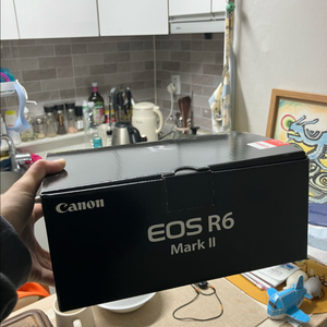 캐논 r6mark2
