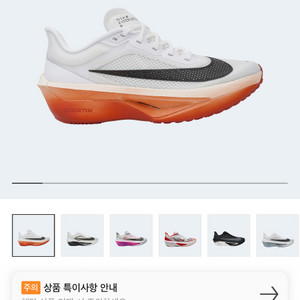 나이키 줌플라이6 킵초게 270