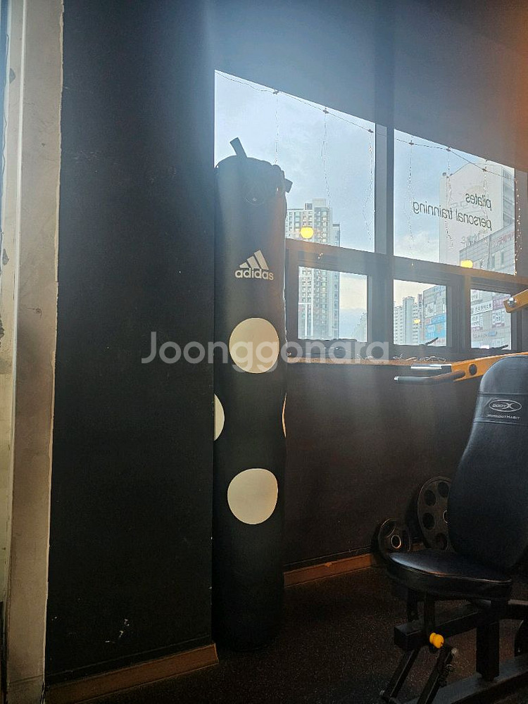 아디다스 롱 샌드백--0