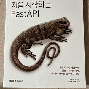 처음 시작하는 Fast API