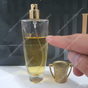 파라 EDT 50ml 향수 (14)