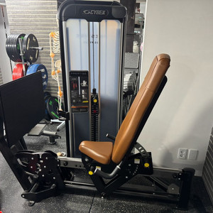 싸이벡스 레그프레스