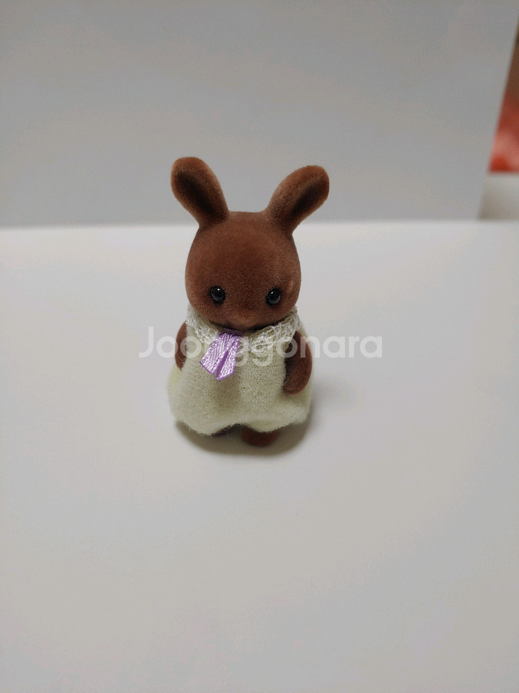 실바니안 갈색토끼--0
