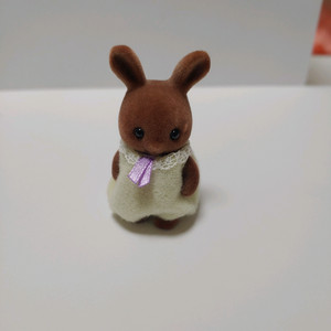 실바니안 갈색토끼