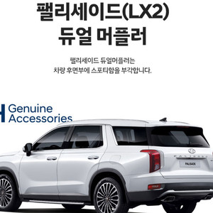 팰리세이드 LX2 튜익스 듀얼머플러