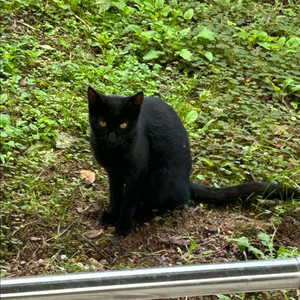 글램이 개인거래용