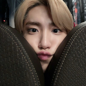 스트레이키즈 스키즈 굿즈 포카 비공굿 양도 처분