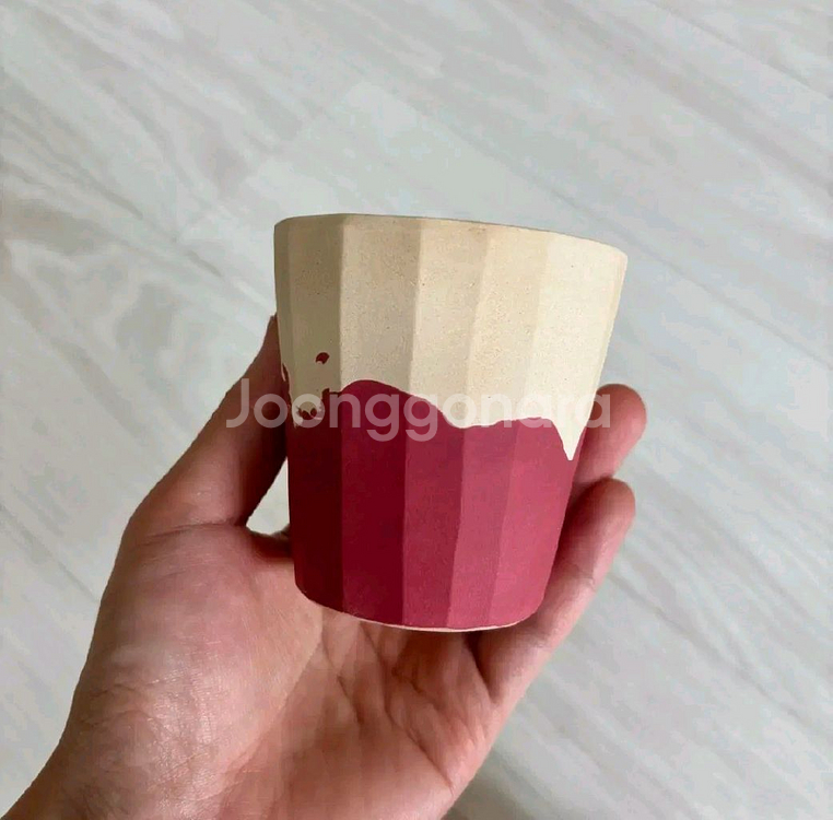 블리스볼 홀리베리 반도네온 소팟--1