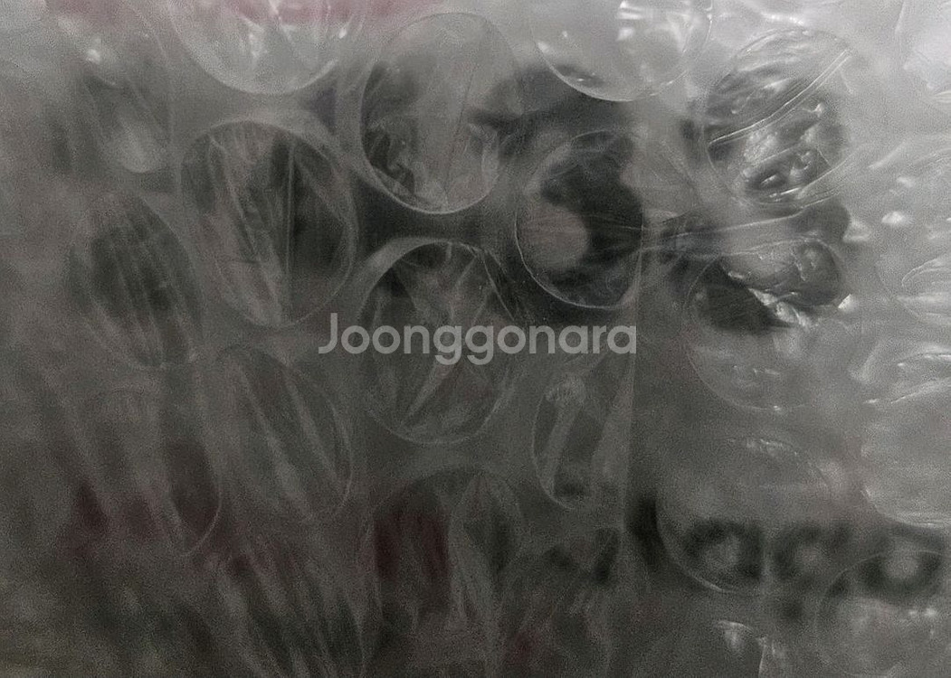 비스크돌 넨도로이드--1