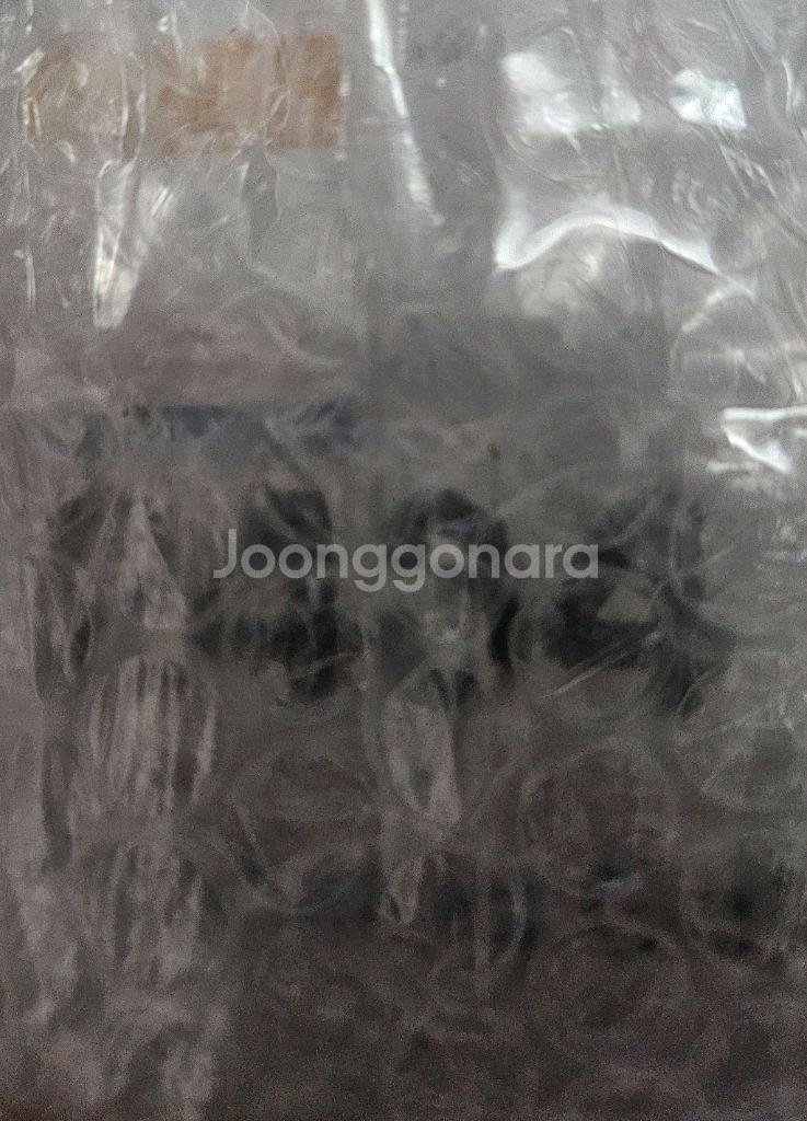 비스크돌 넨도로이드--2