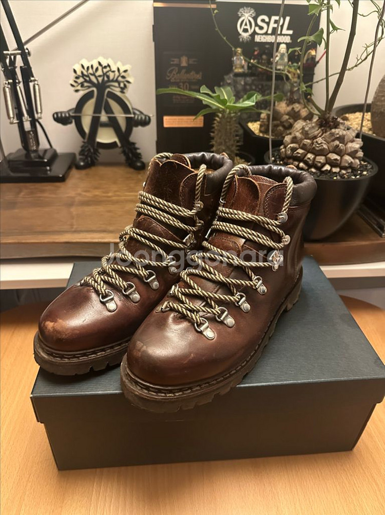 파라부트 아보리아즈 uk8.5--0