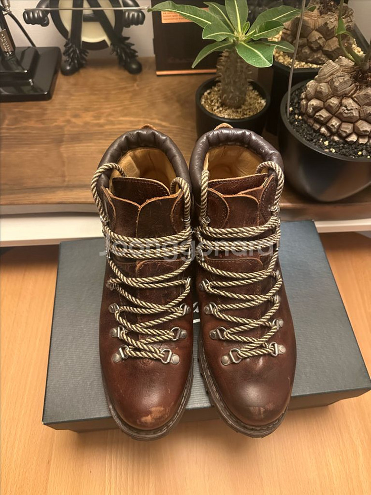 파라부트 아보리아즈 uk8.5--2