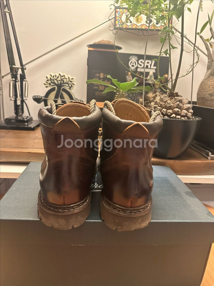 파라부트 아보리아즈 uk8.5--1