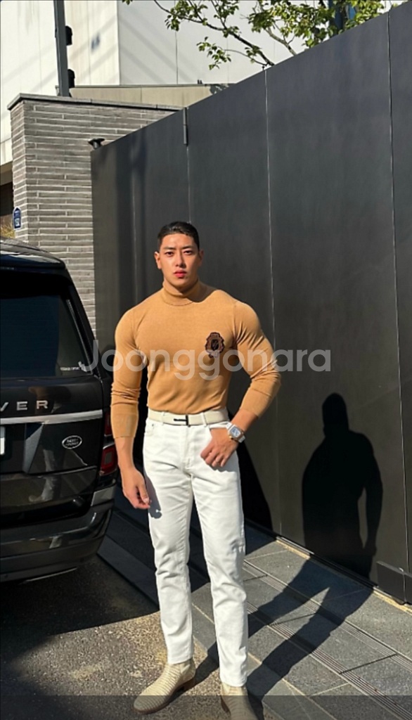 볼란테 라피나토 에뚜알 수제큐빅 와펜 터틀넥 새상품--0