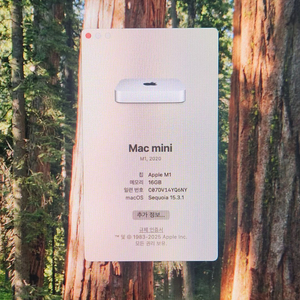 Apple M1 맥미니 16g 256g