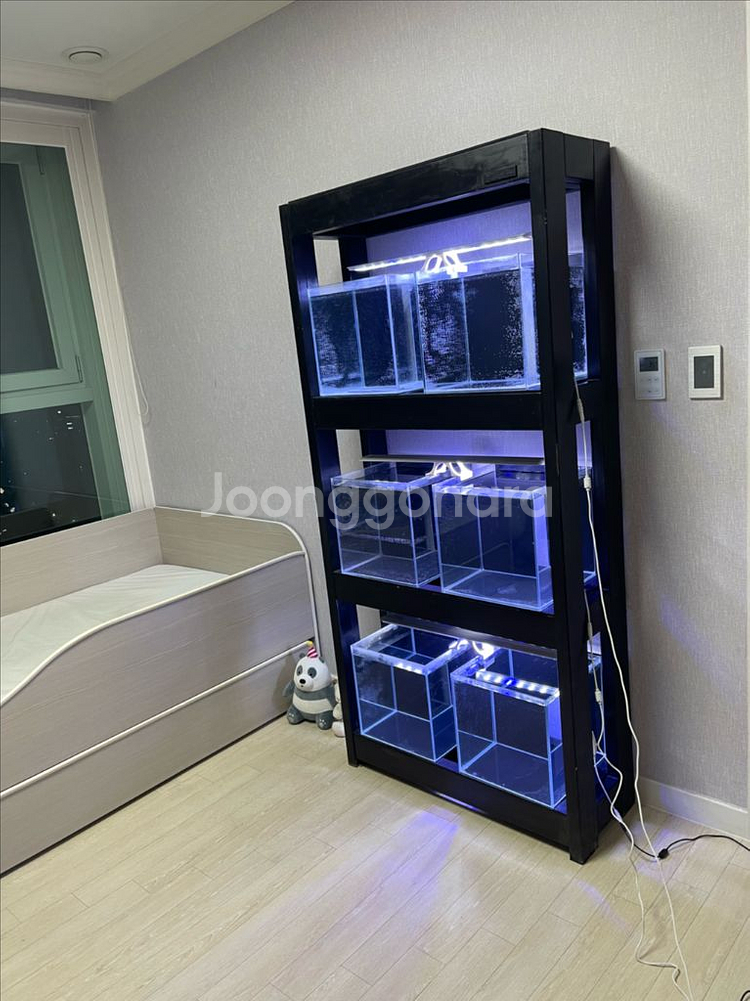 (경기 북부) Endbee 3단 어항 수조 축양장 받침--0