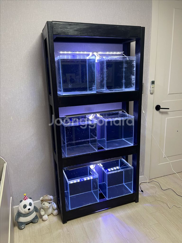 (경기 북부) Endbee 3단 어항 수조 축양장 받침--4