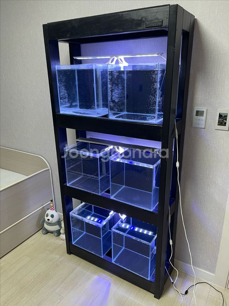 (경기 북부) Endbee 3단 어항 수조 축양장 받침--1