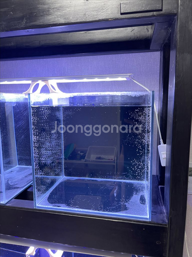 (경기 북부) Endbee 3단 어항 수조 축양장 받침--6