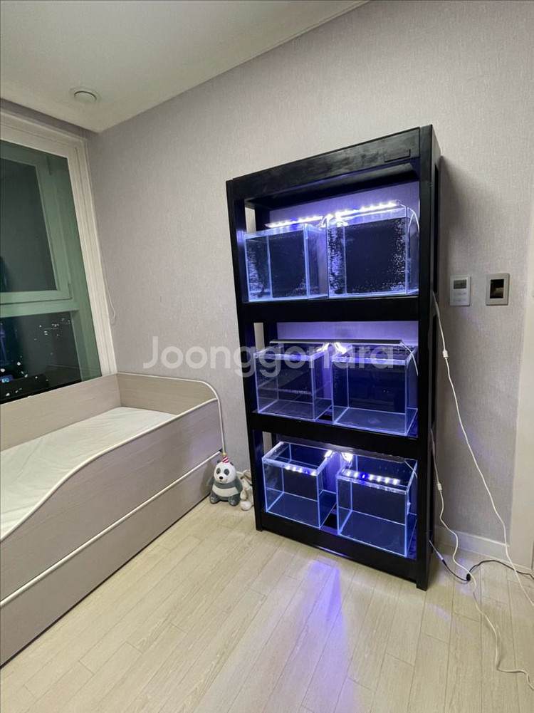 (경기 북부) Endbee 3단 어항 수조 축양장 받침--8