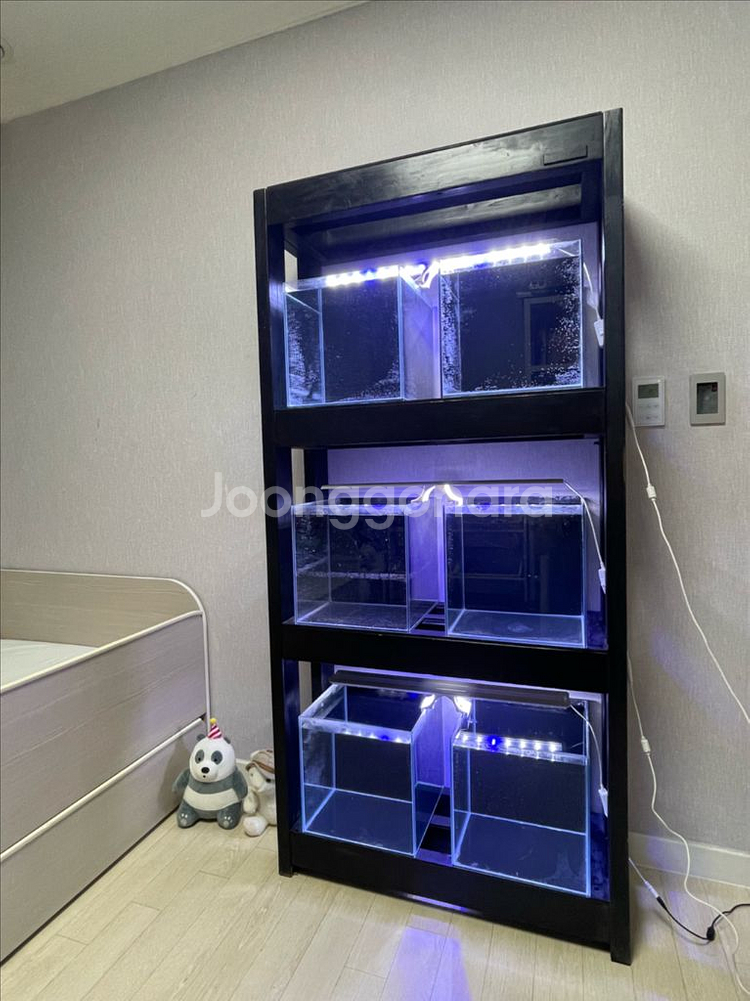 (경기 북부) Endbee 3단 어항 수조 축양장 받침--9