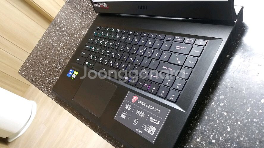 MSI GP66 하이엔드 게이밍 노트북/램64,3080--4