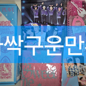 플레이브 2025 시즌그리팅