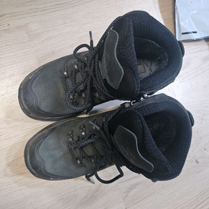 블랙스톰 시그마 230used 캠프라인